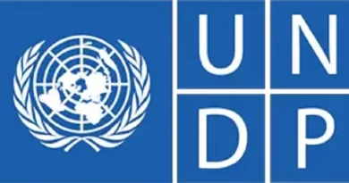 National Project Coordinator – Montreal Protocol & Kigali Amendment at UNDP | Deadline: 2 October 2025