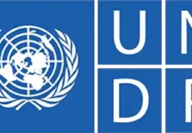 National Project Coordinator – Montreal Protocol & Kigali Amendment at UNDP | Deadline: 2 October 2025