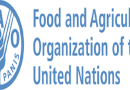 Post-Harvest Management Specialist at Food and Agriculture Organization | Deadline 29 December 2025