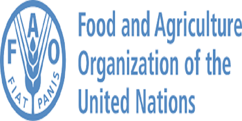 Post-Harvest Management Specialist at Food and Agriculture Organization | Deadline 29 December 2025