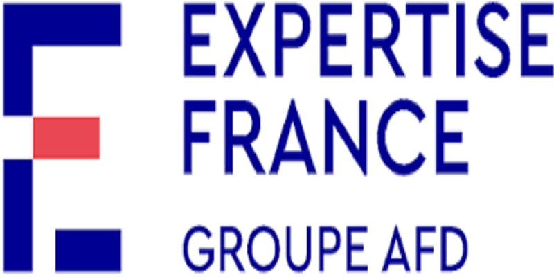 Human Resources Manager – Direct Employment & Social Dialogue (M/W) at Expertise France: (Deadline 20 January 2026)